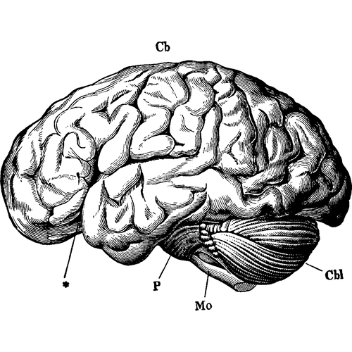 Automation strategy illustration